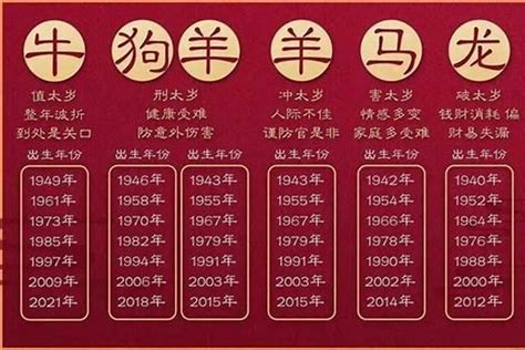 95属什么|1995年属什么生肖 1995年属什么的生肖